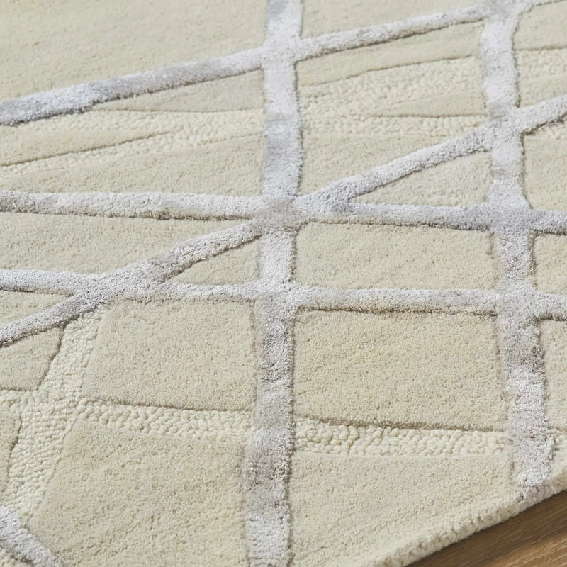 Amjad Area Rug - Clearance by Boutique Rugs
