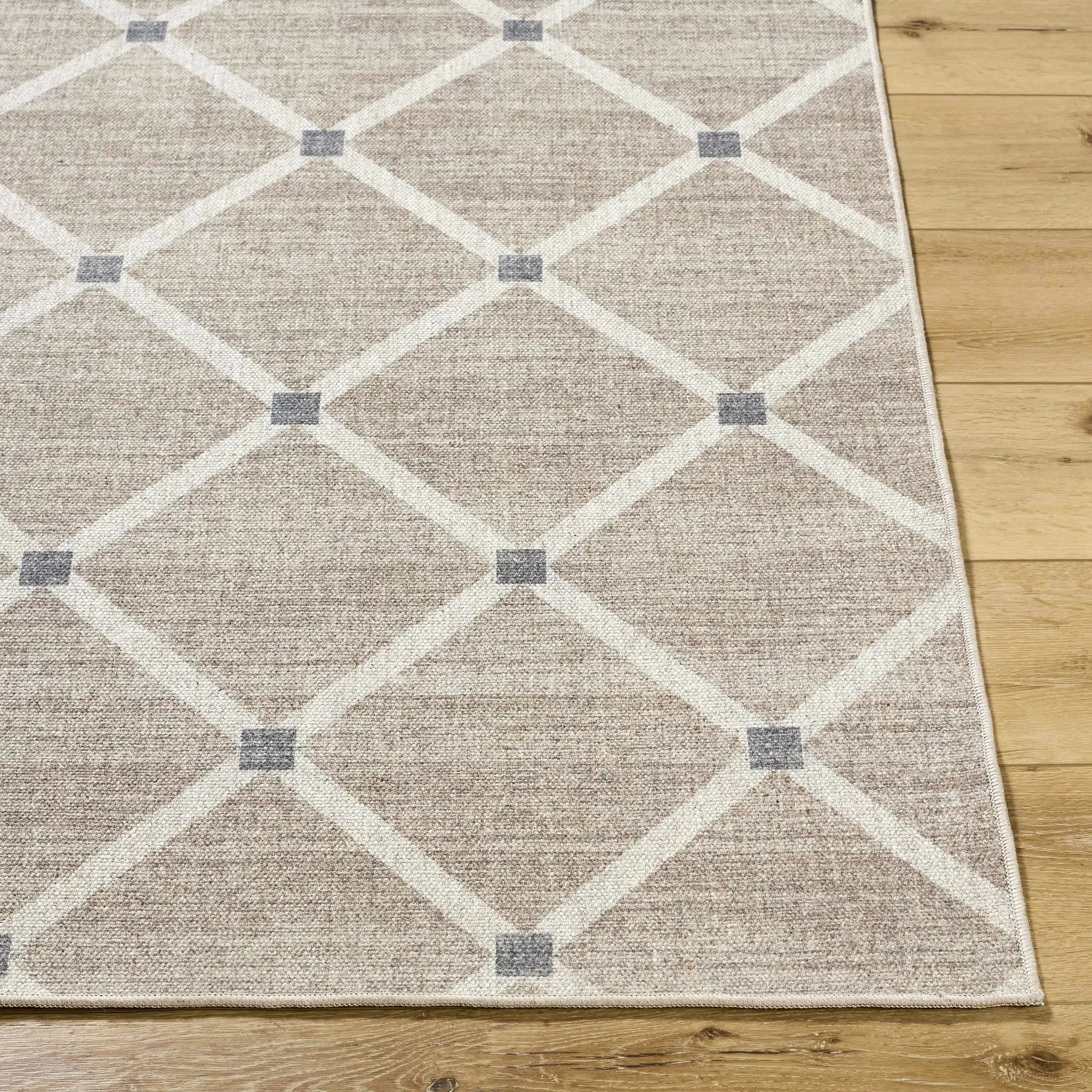 Alpana Washable Wool Area Rug by Boutique Rugs