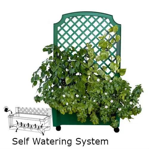 Indoor/Outdoor Green Polypropylene Wheeled Trellis Planter by HomePacific