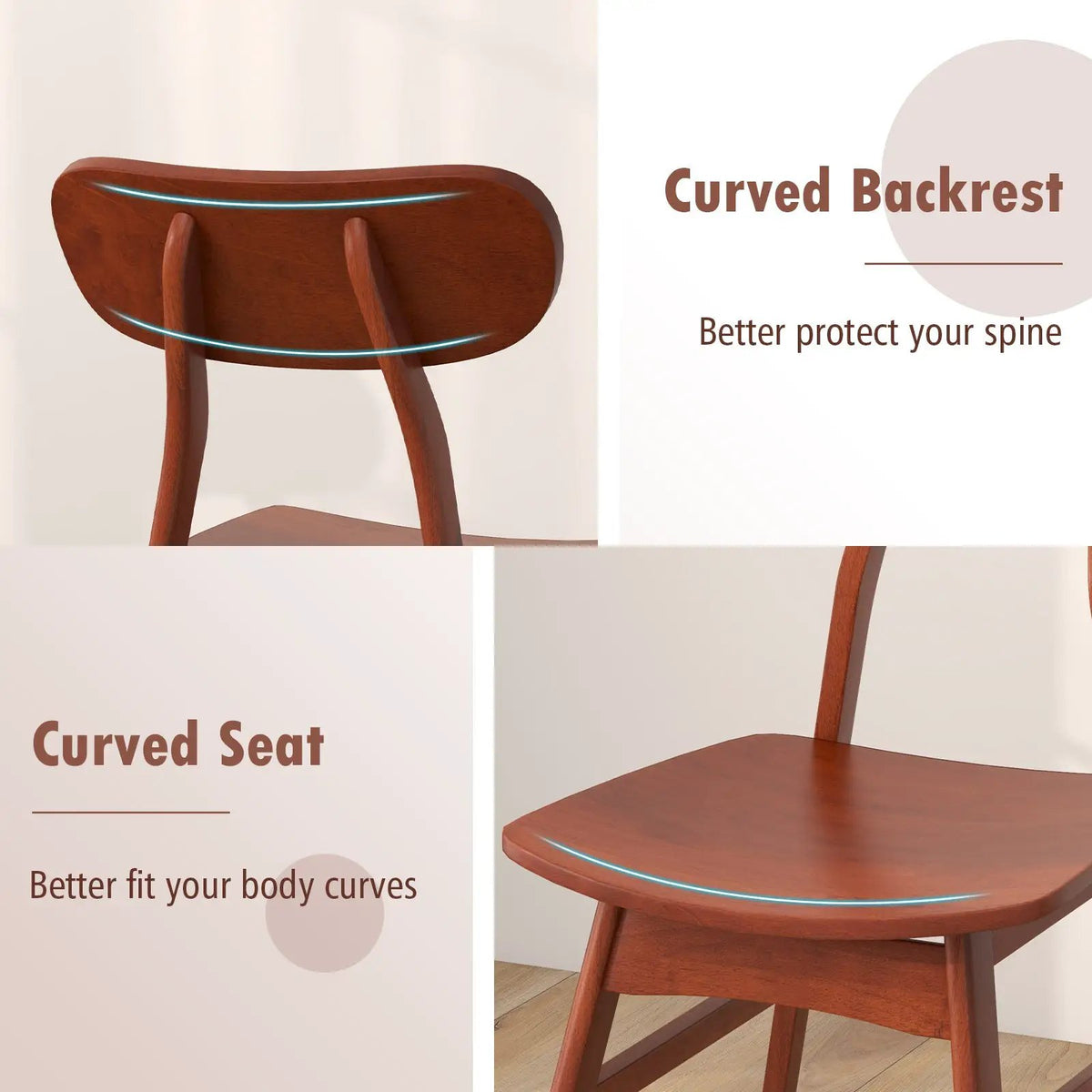 Set of 2 Modern Dining Chairs with Curved Backrest and Seat by DirectDeals
