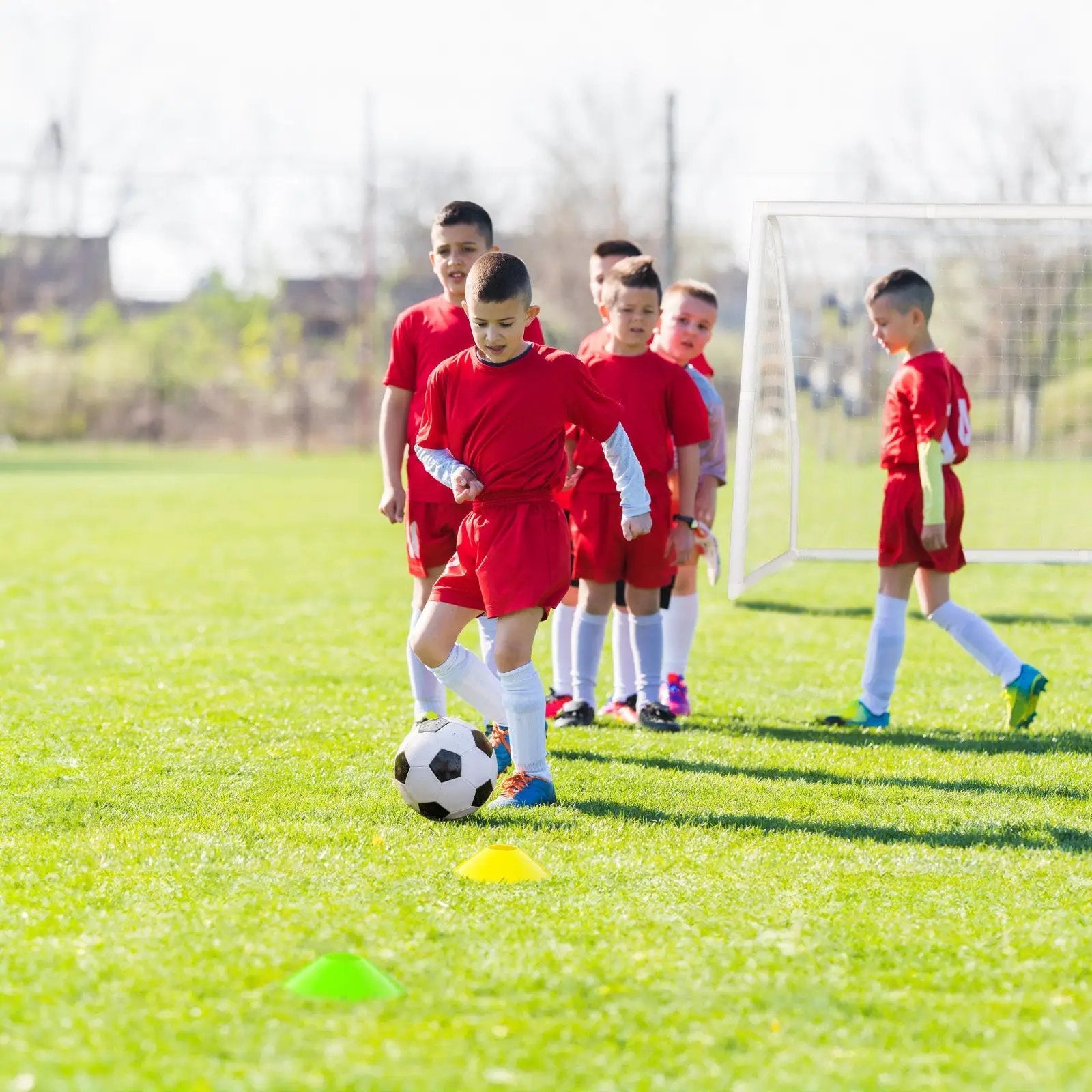 8' x 6' Soccer Goal with Ground Stakes and Soccer Cones by DirectDeals