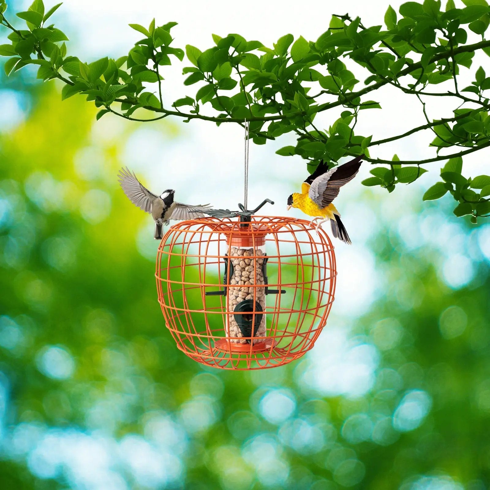 Squirrel-Proof Pumpkin Bird Feeder with Cage and 4 Metal Ports by DirectDeals