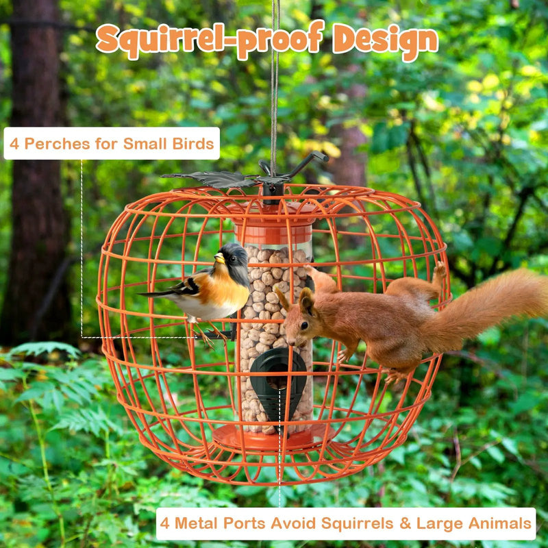 Squirrel-Proof Pumpkin Bird Feeder with Cage and 4 Metal Ports by DirectDeals