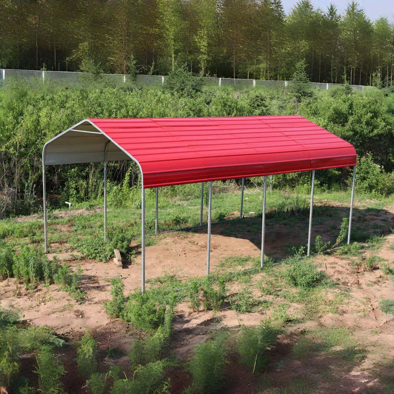 Classic Steel Carport W12' x L20' by Chery Industrial