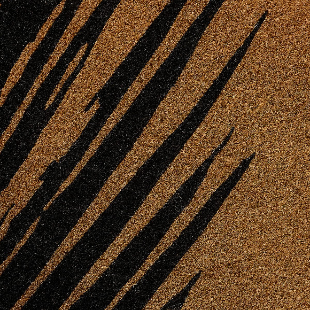 Summertime Palm Leaf Coir Doormat, photo 14 of 19