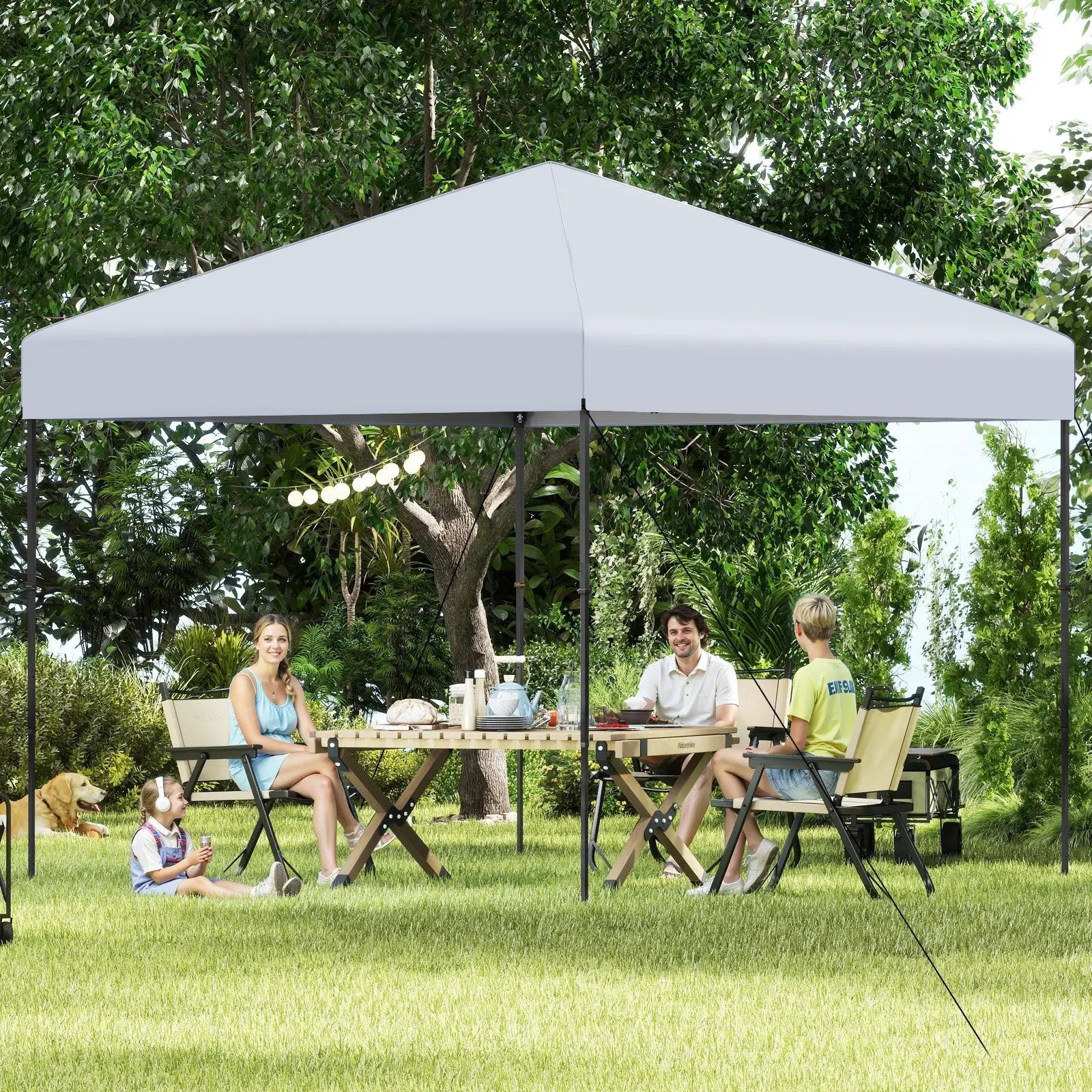 10 X 10 Feet Pop up Canopy Tent with Portable Carrying Bag and 8 Stakes by DirectDeals