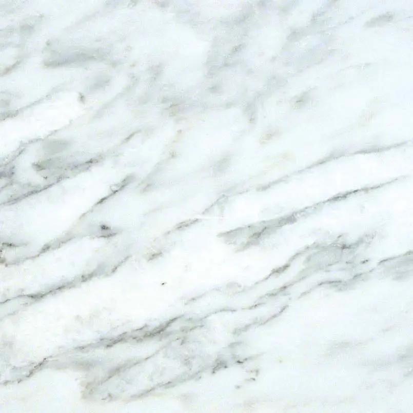 Arabescato Carrara Polished Marble Tiles 12x12 by MSI Surfaces