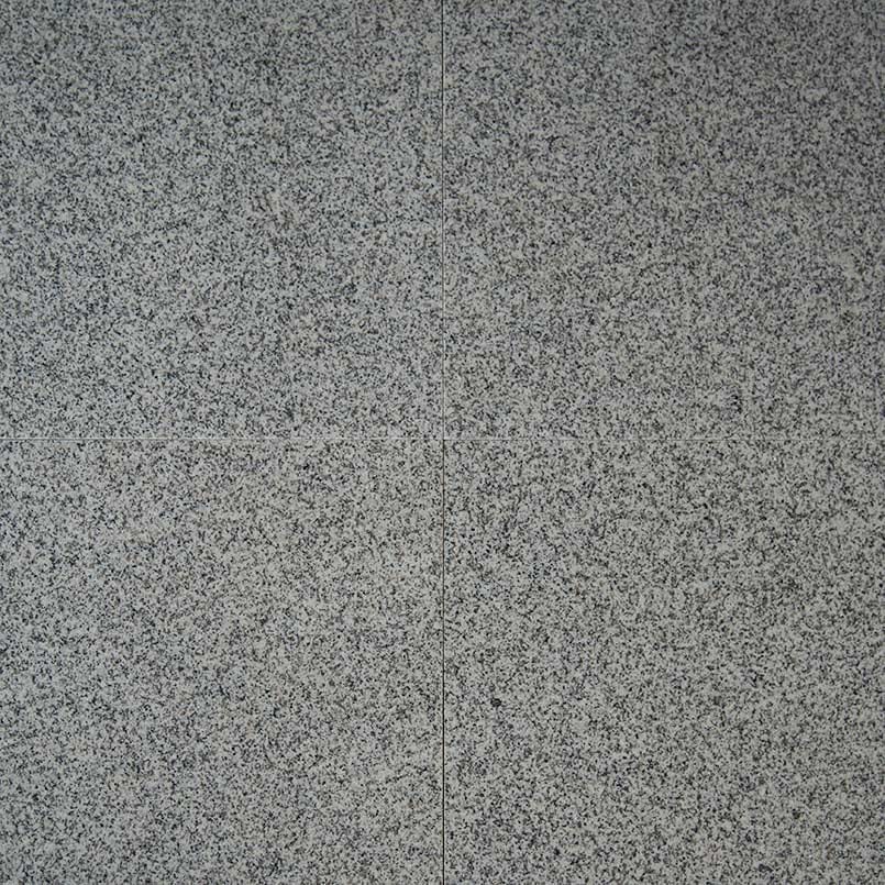 Bianco Catalina Polished Granite Tiles 12x12 by MSI Surfaces