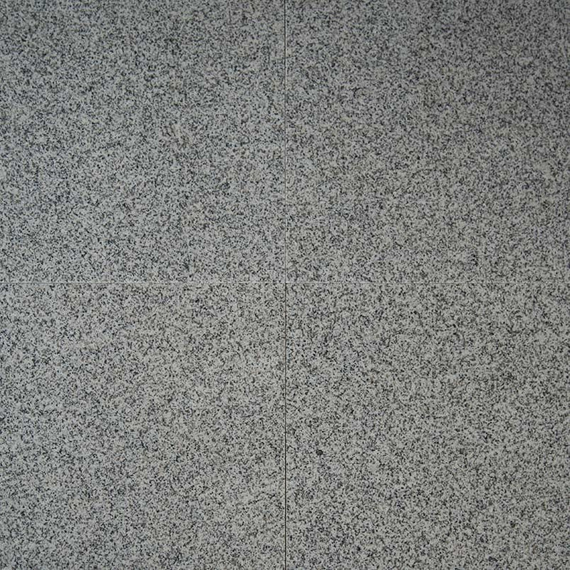 Bianco Catalina Polished Granite Tiles 12x12 by MSI Surfaces