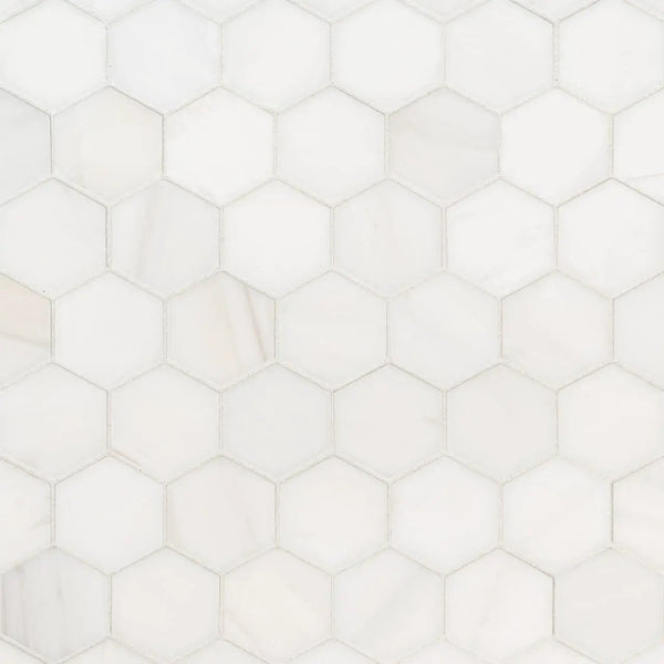 Bianco Dolomite Polished Hexagon Marble Mosaics