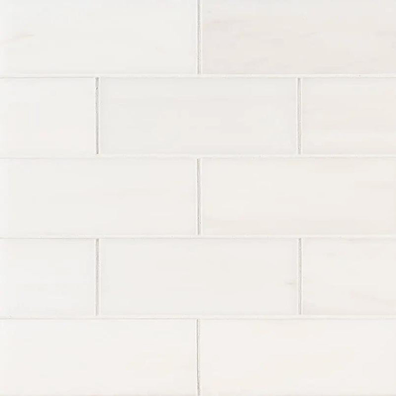 Bianco Dolomite Polished Marble Mosaics 3x6 by MSI Surfaces