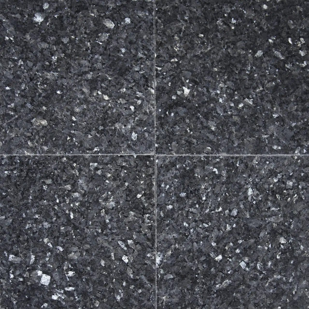 Blue Pearl Polished Granite Tiles 12x12 by MSI Surfaces
