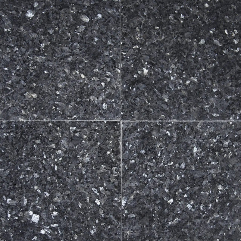 Blue Pearl Polished Granite Tiles 12x12 by MSI Surfaces