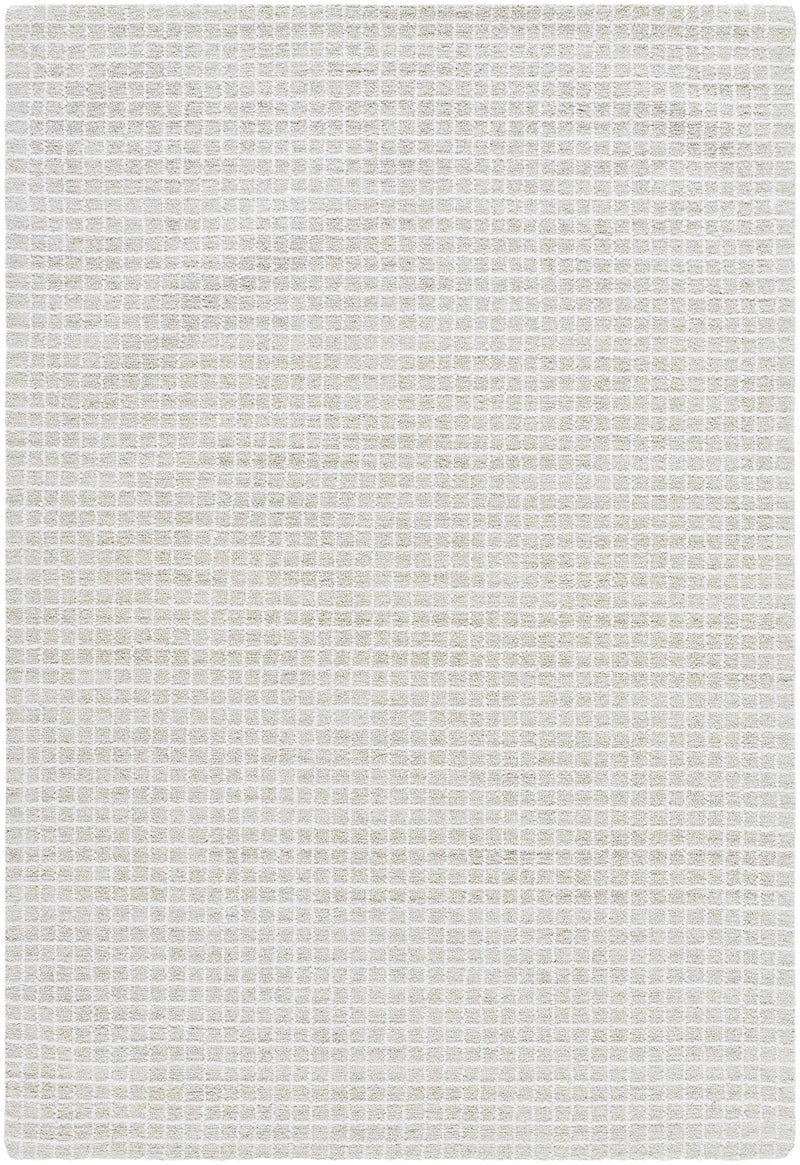 Anahid Bone Area Rug by Boutique Rugs