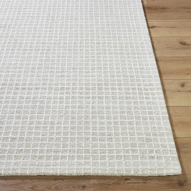 Anahid Bone Area Rug by Boutique Rugs