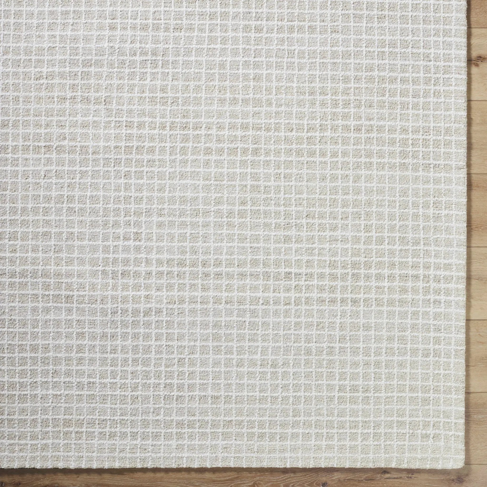 Anahid Bone Area Rug by Boutique Rugs