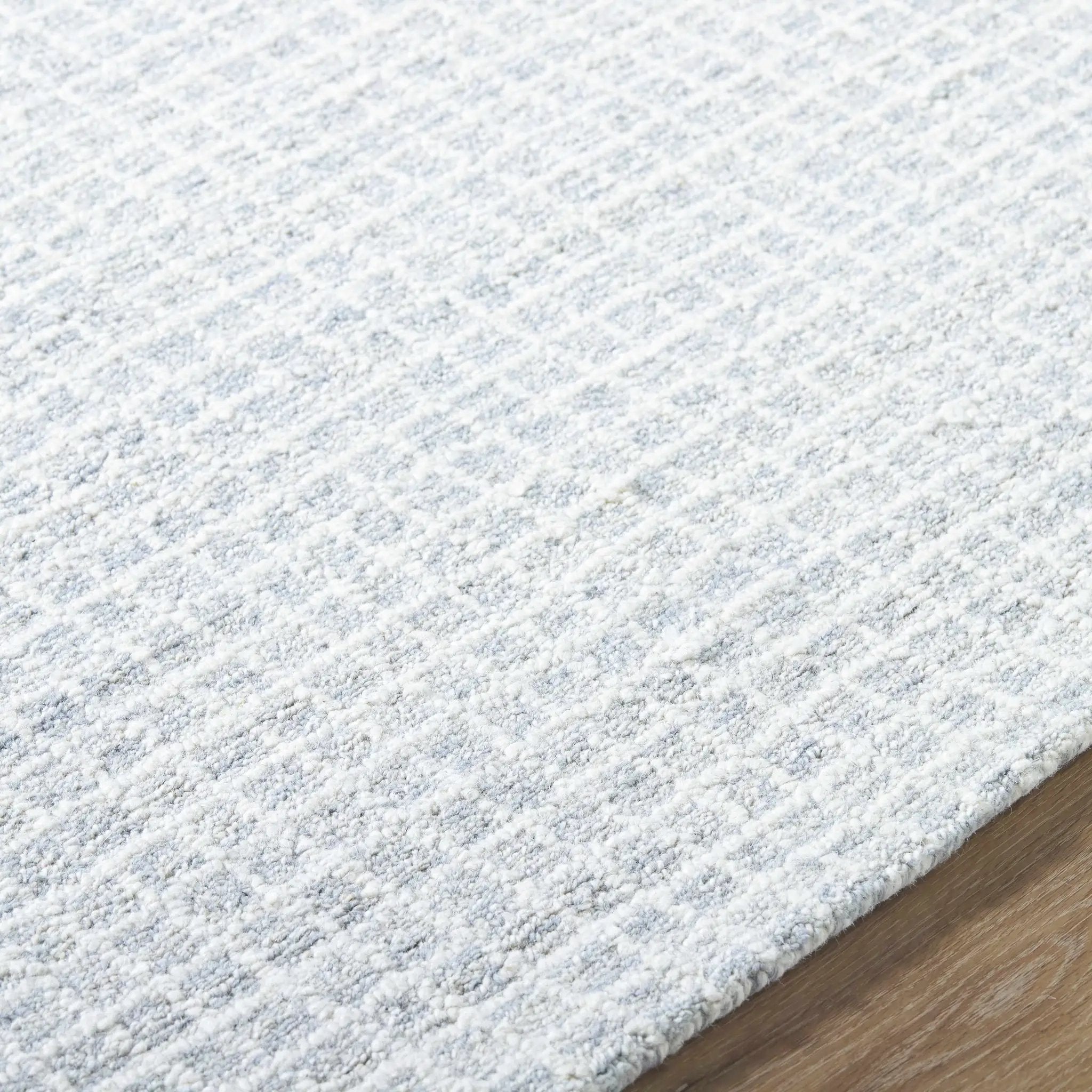 Anahid Soft Blue Area Rug by Boutique Rugs