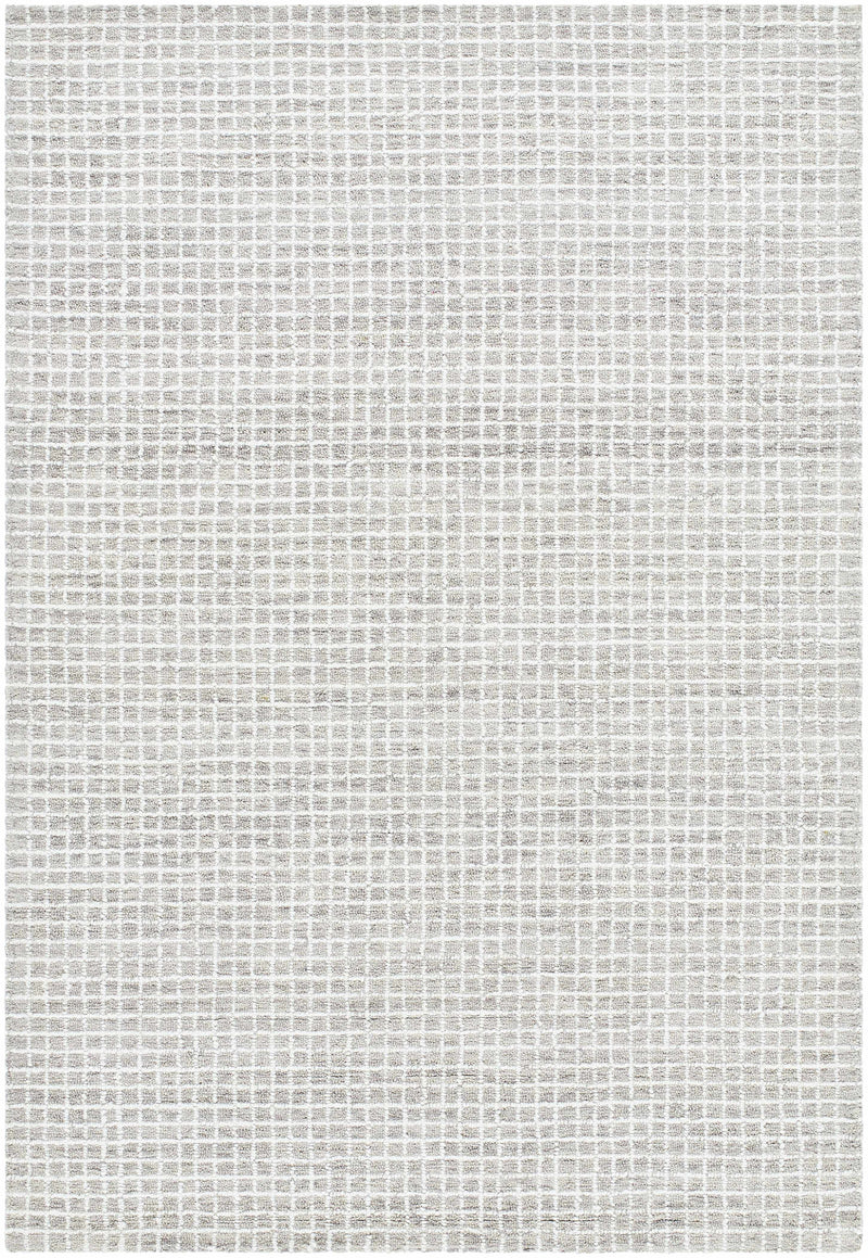 Anahid Gray Area Rug by Boutique Rugs