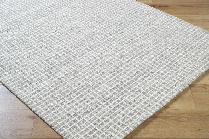 Anahid Gray Area Rug by Boutique Rugs