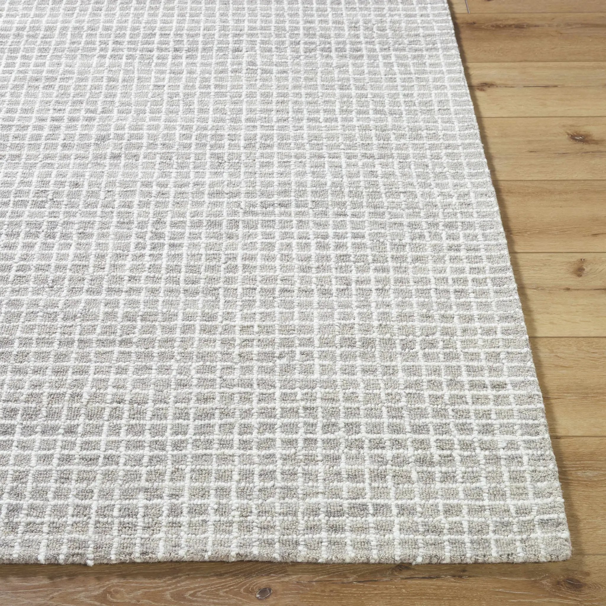 Anahid Gray Area Rug by Boutique Rugs