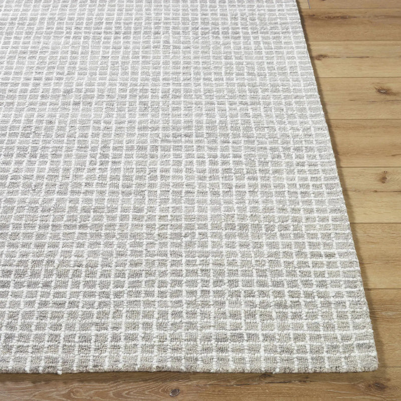 Anahid Gray Area Rug by Boutique Rugs