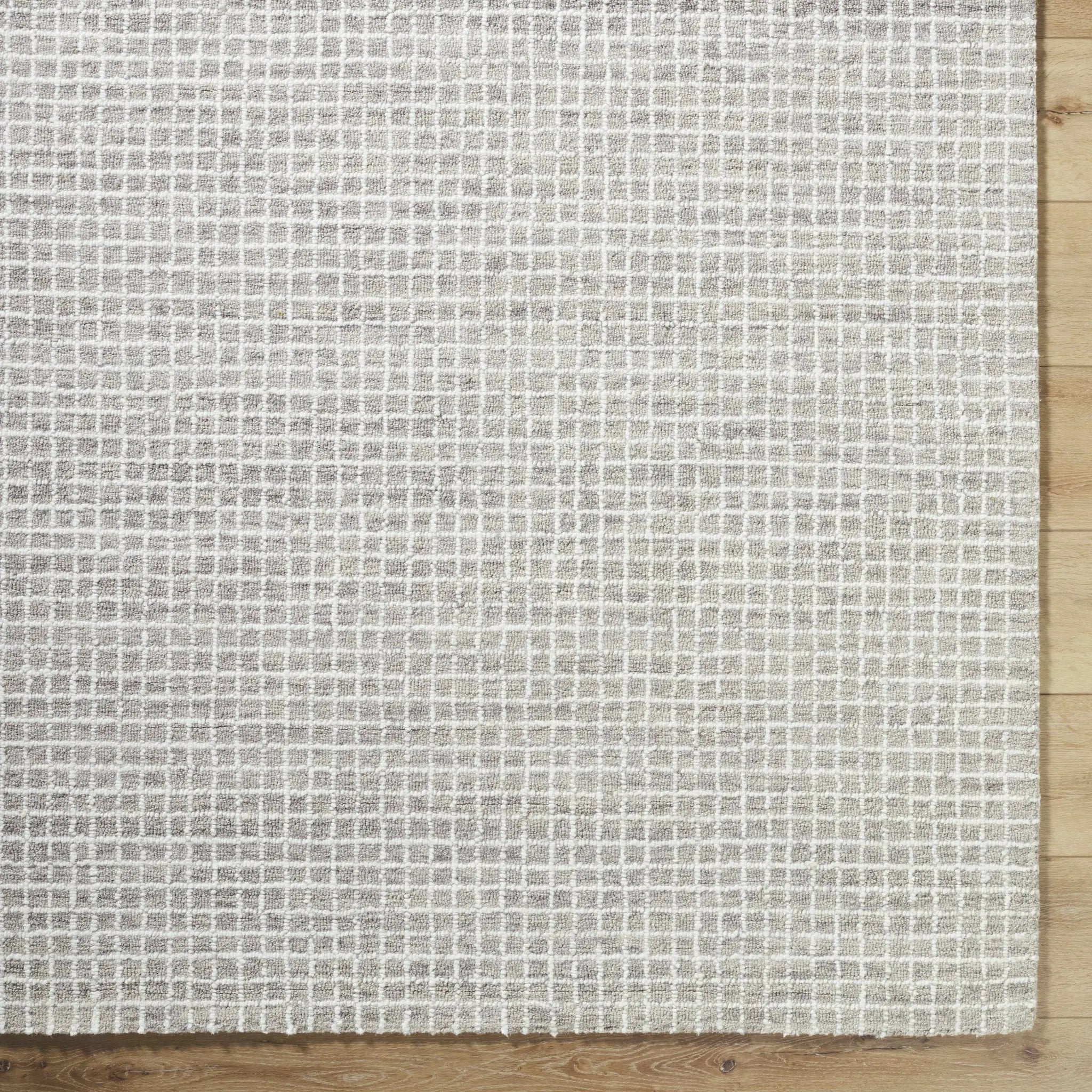 Anahid Gray Area Rug by Boutique Rugs