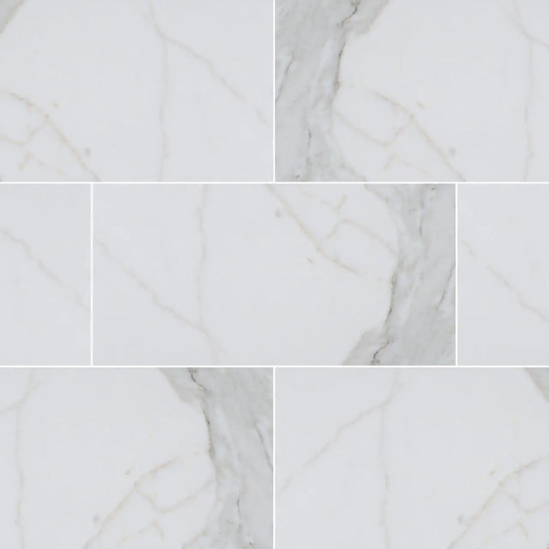 Calacatta Marble Honed Tiles 12x24 by MSI Surfaces