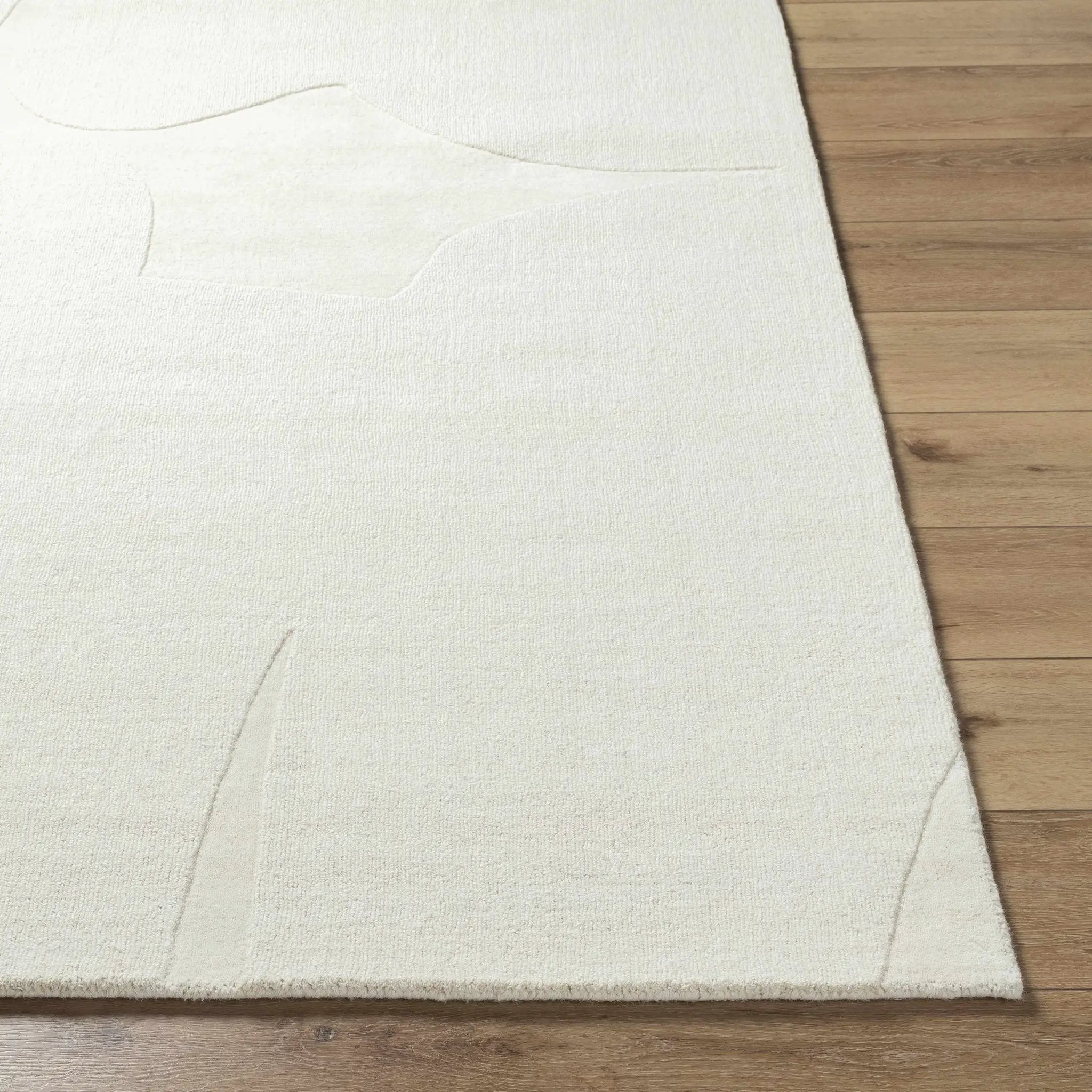 Thina Area Rug - Clearance by Boutique Rugs