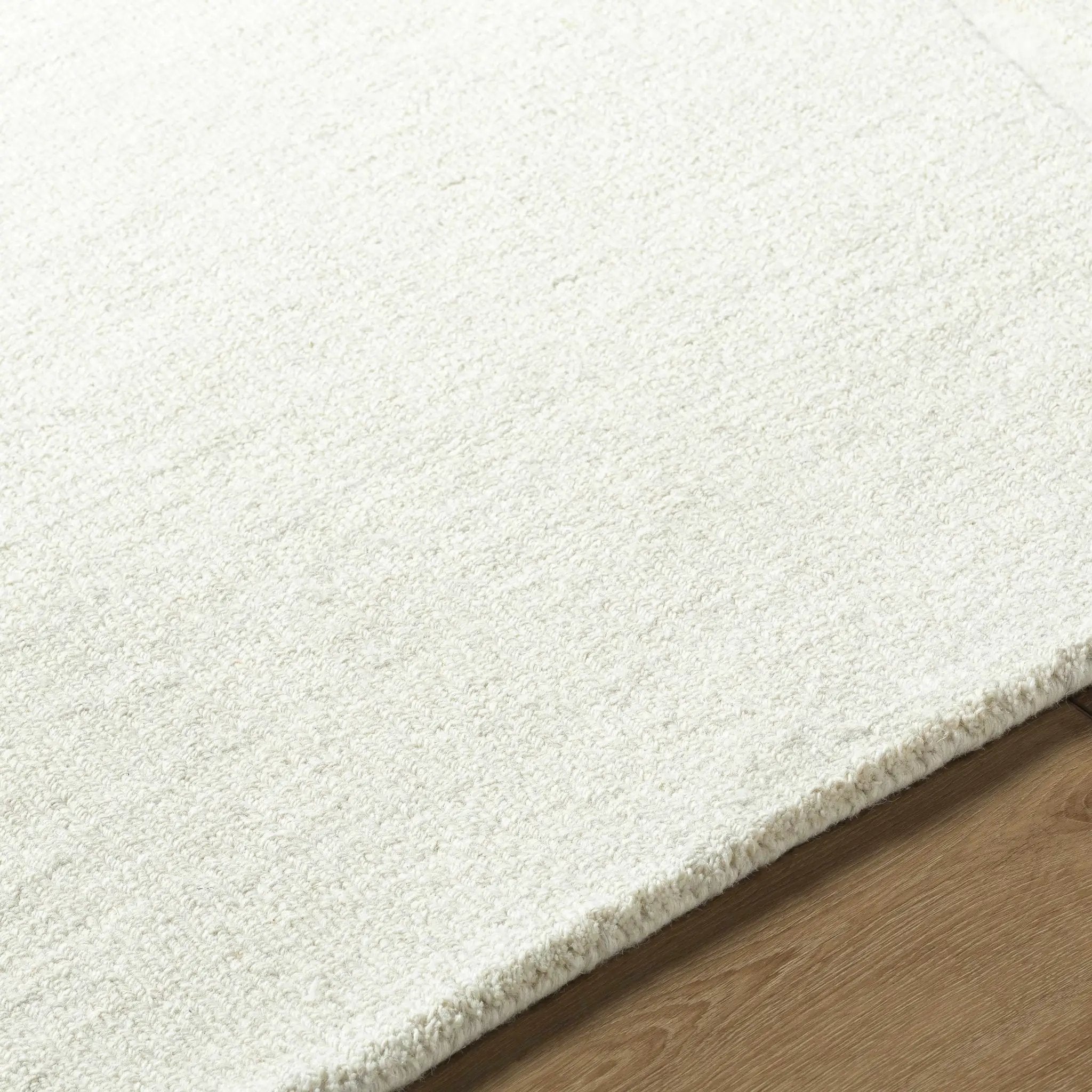 Thina Area Rug - Clearance by Boutique Rugs
