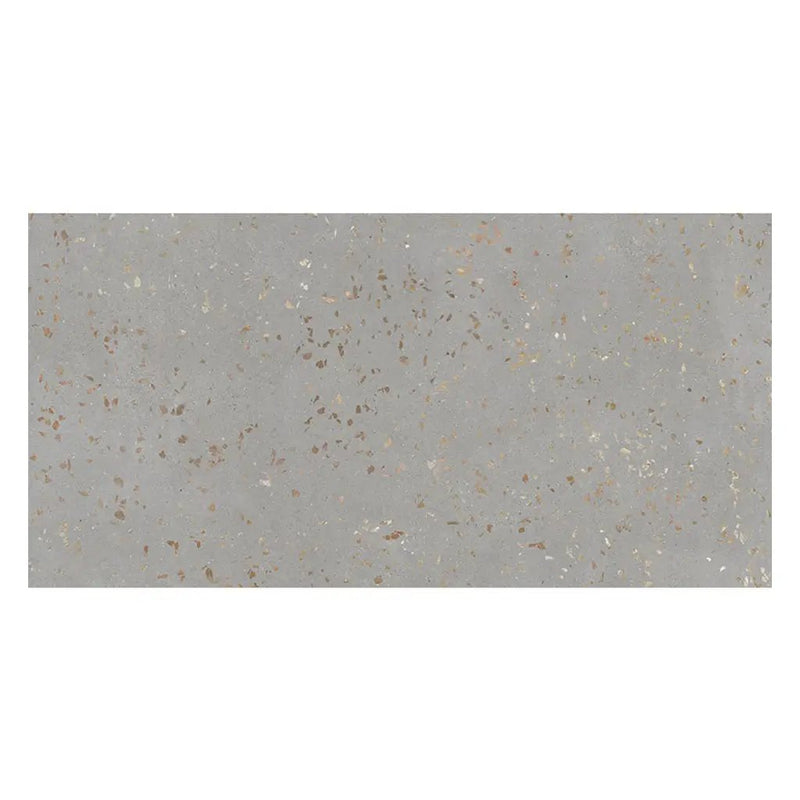 Warm Gray with Gold Flecks 24x48 Matte Square Porcelain Large Format Tile (2 pack, 15.49 sq ft/case) by Apollo Tile