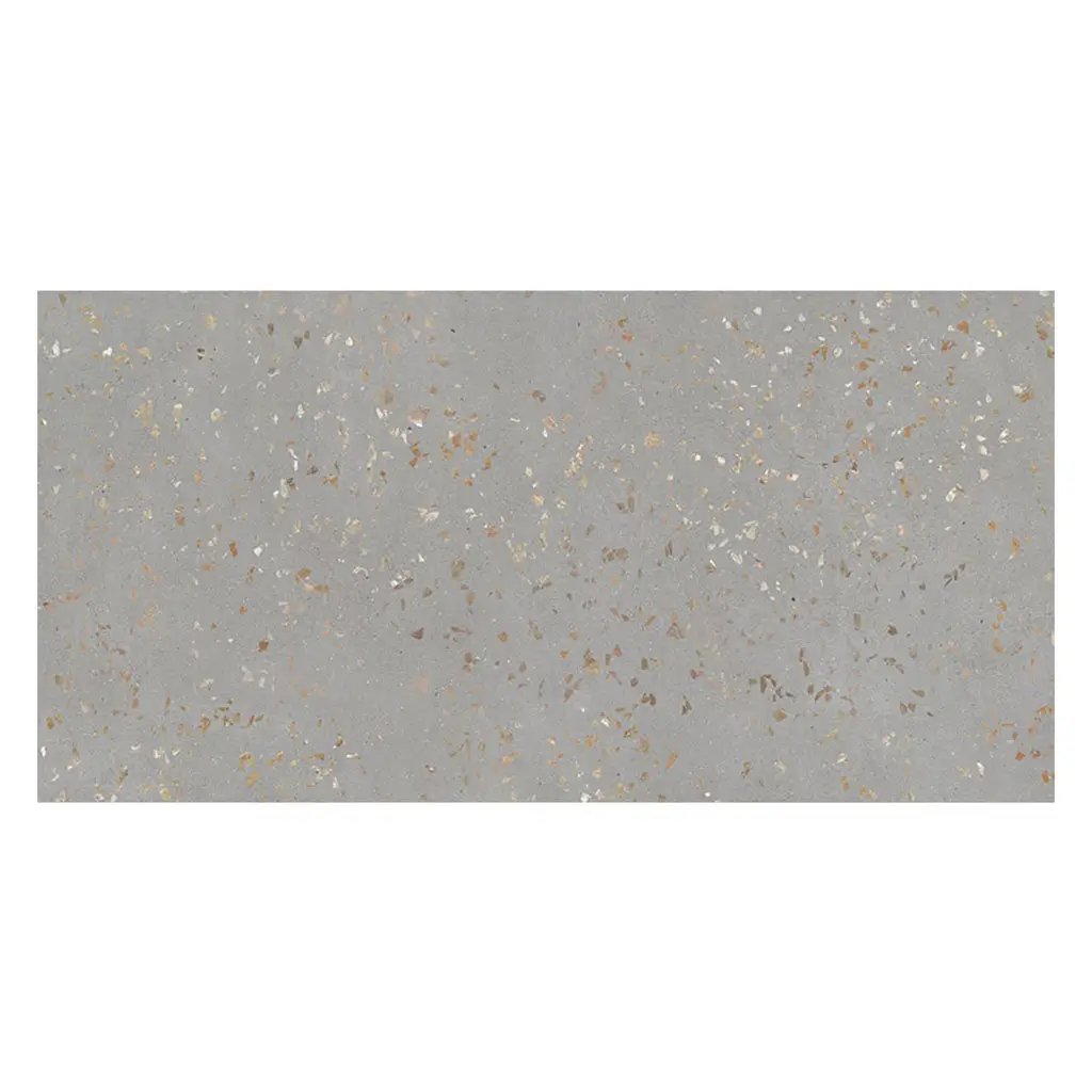 Warm Gray with Gold Flecks 24x48 Polished Square Porcelain Large Format Tile (2 pack, 15.49 sq ft/case) by Apollo Tile