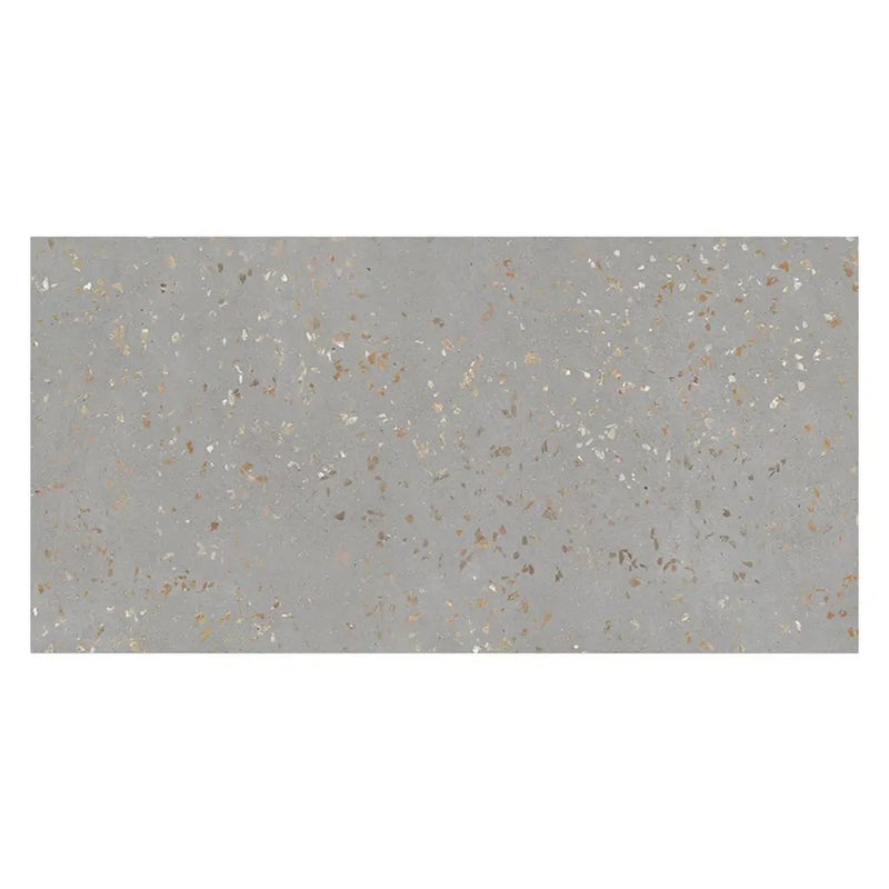 Warm Gray with Gold Flecks 24x48 Polished Square Porcelain Large Format Tile (2 pack, 15.49 sq ft/case) by Apollo Tile