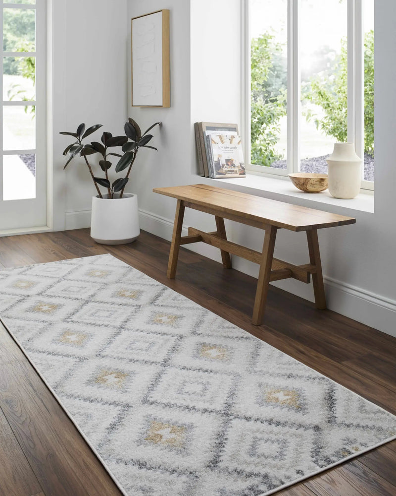Tyipa Area Rug - Clearance by Boutique Rugs