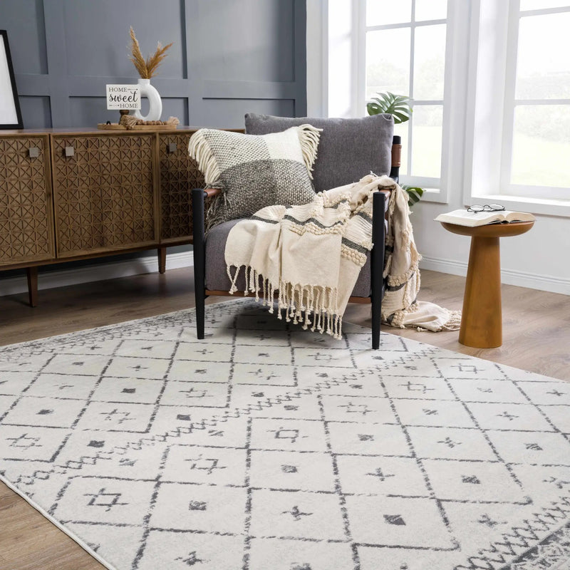 Tigris Area Rug - Clearance by Boutique Rugs