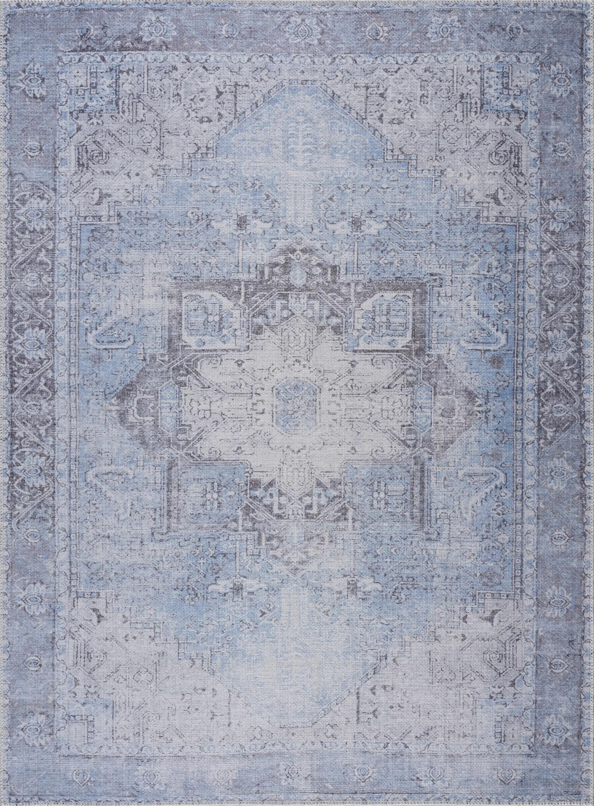 Aqua Rosman Washable Area Rug by Hauteloom