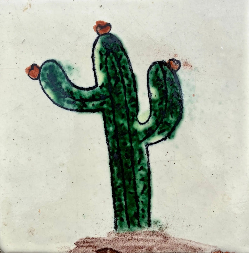 Cactus II by Place Of Clay