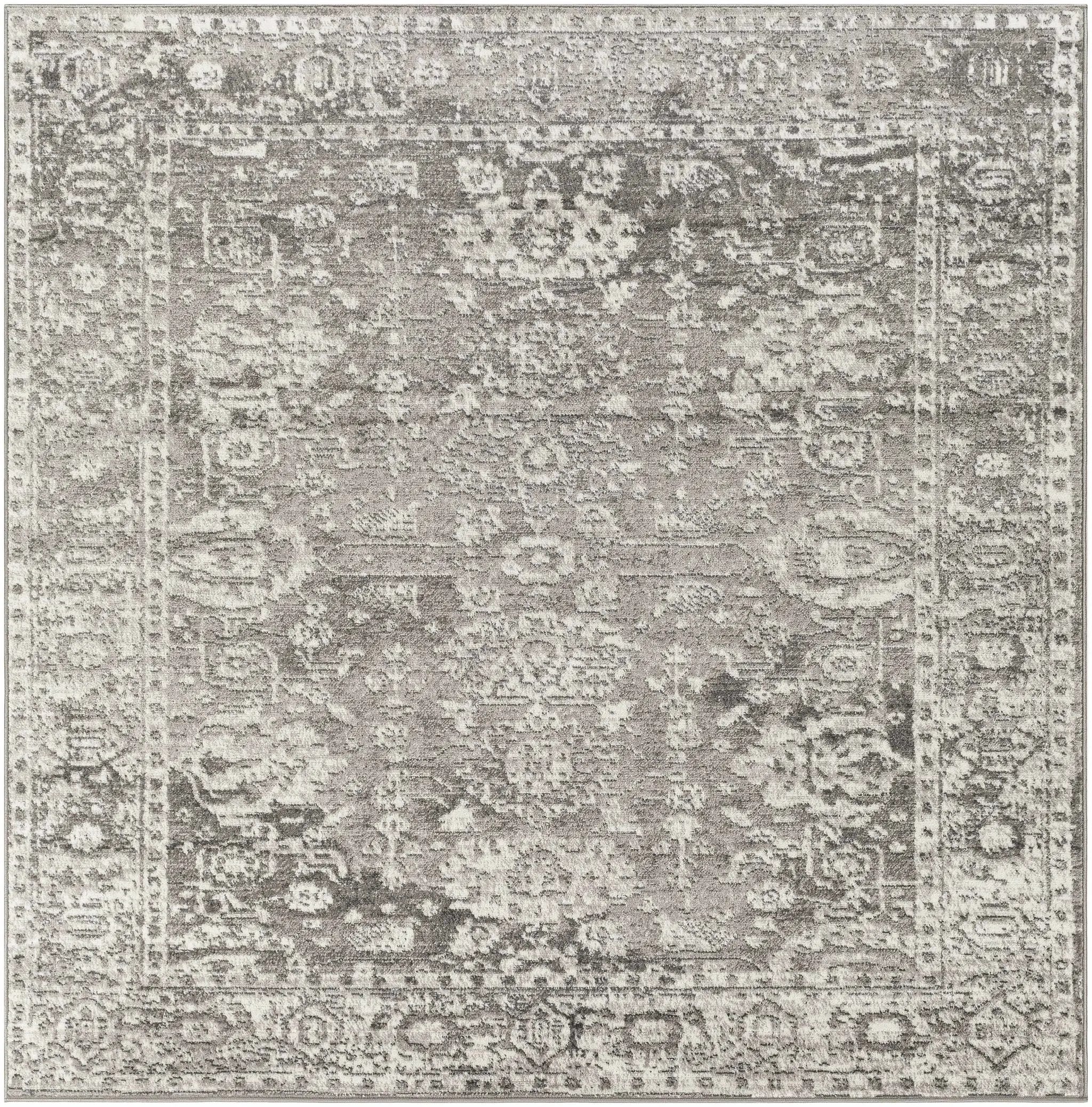 Tripp Distressed Gray Rug by Boutique Rugs