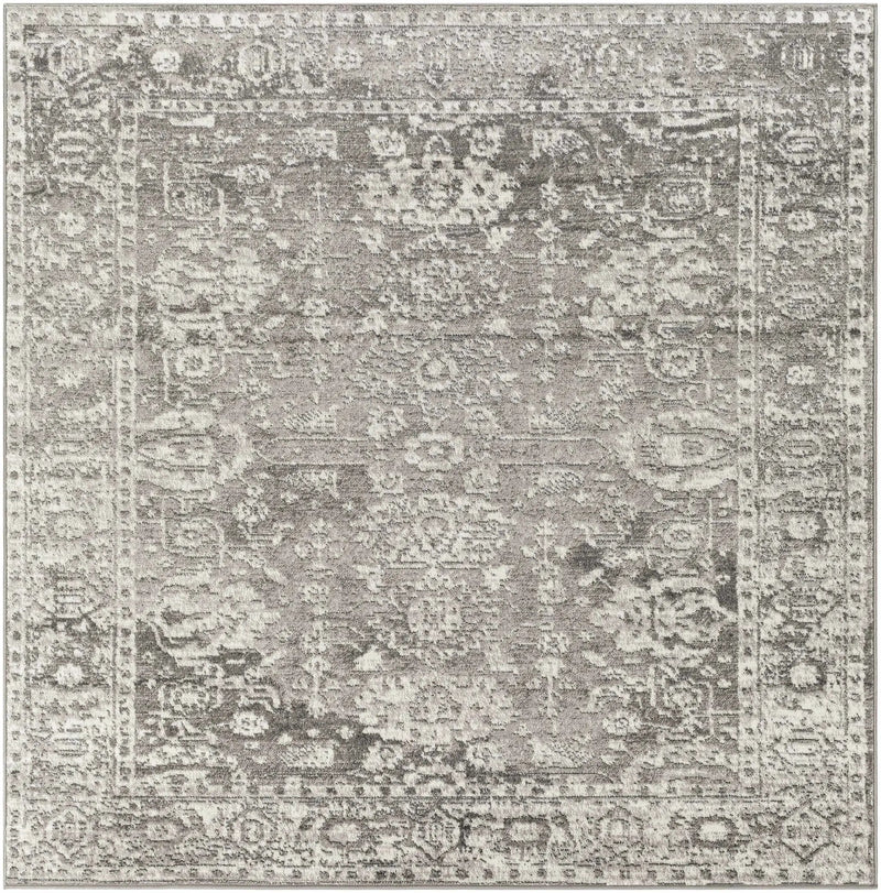 Tripp Distressed Gray Rug by Boutique Rugs