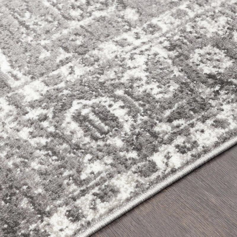 Tripp Distressed Gray Rug by Boutique Rugs