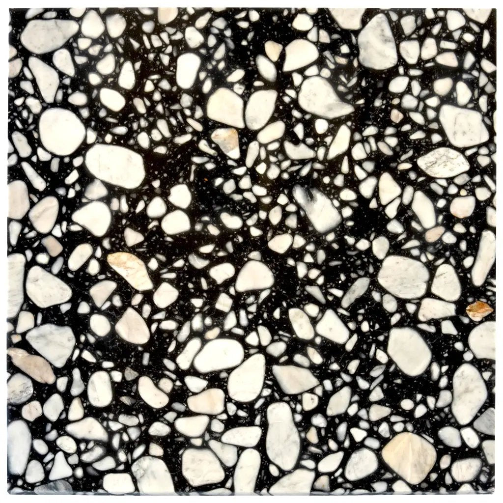 Jet Black 24x24 Polished Square Terrazzo Large Format Tile (4 pack, 15.5 sq ft/case) by Apollo Tile