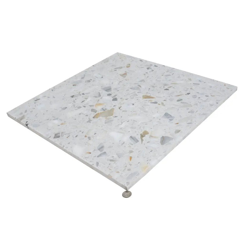 White Gold 24x24 Honed Square Terrazzo Large Format Tile (2 pack, 7.75 sq ft/case) by Apollo Tile