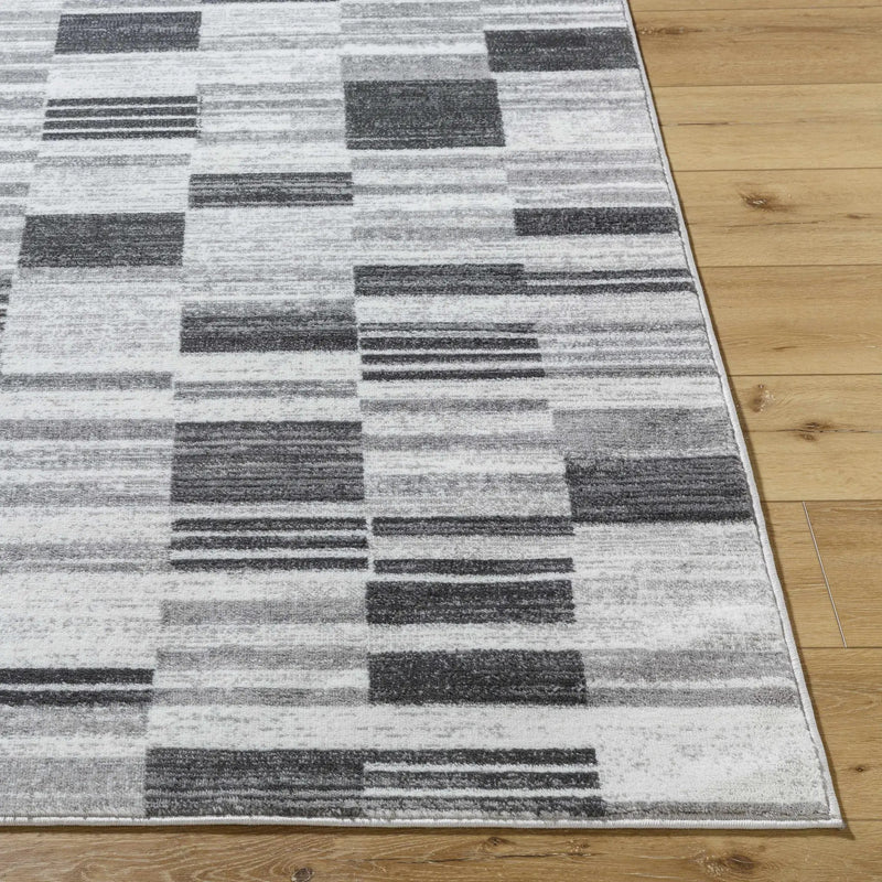 Tehya Gray Area Rug by Boutique Rugs