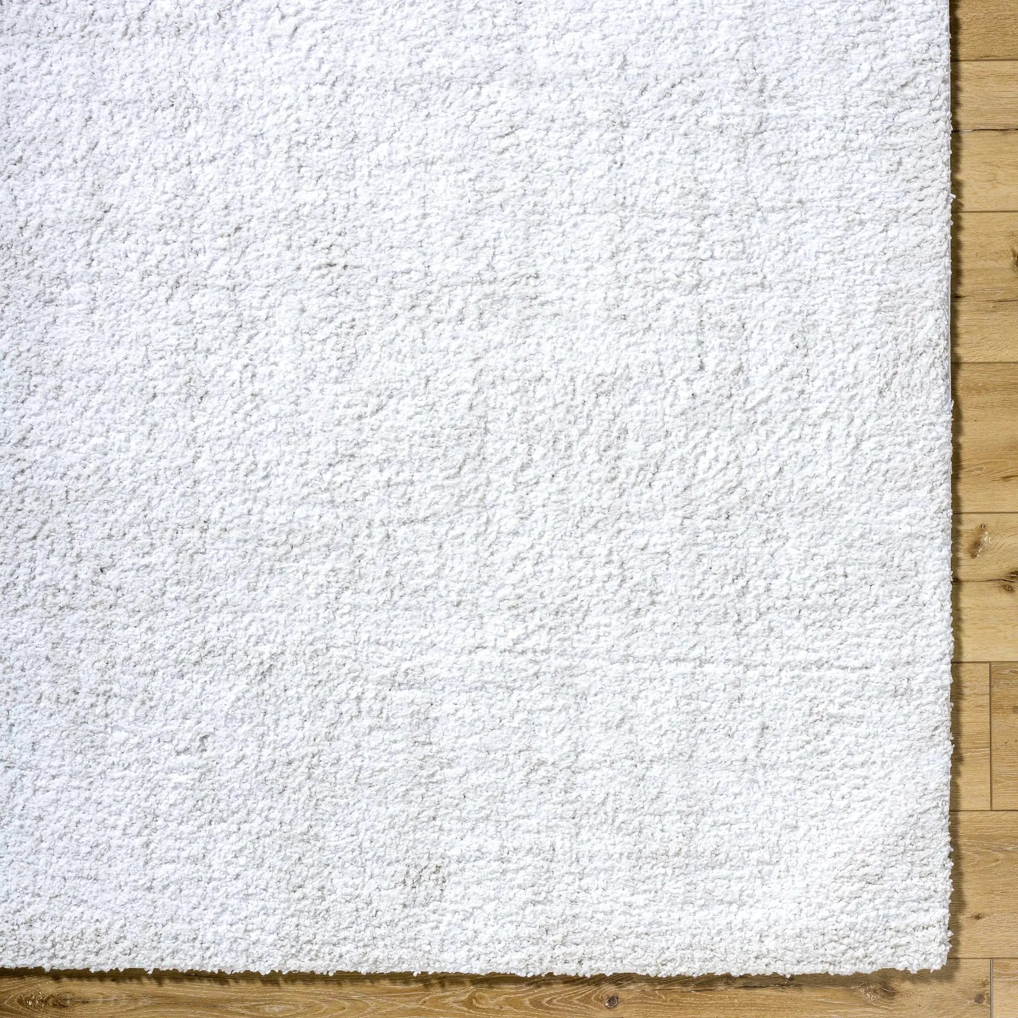 Troya Area Rug by Boutique Rugs