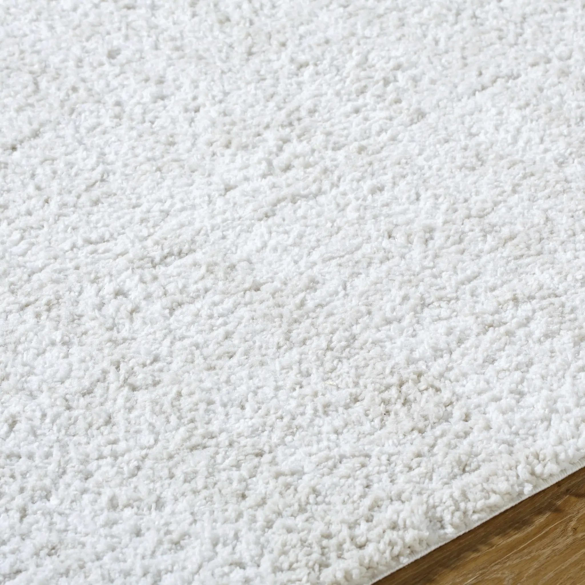 Troya Area Rug by Boutique Rugs