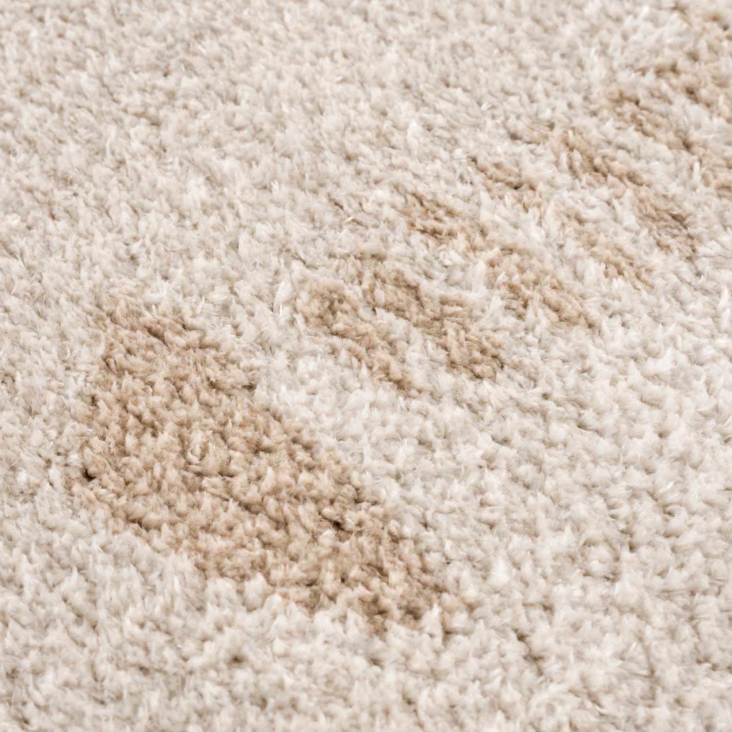 Azriel Beige Washable Area Rug by Boutique Rugs