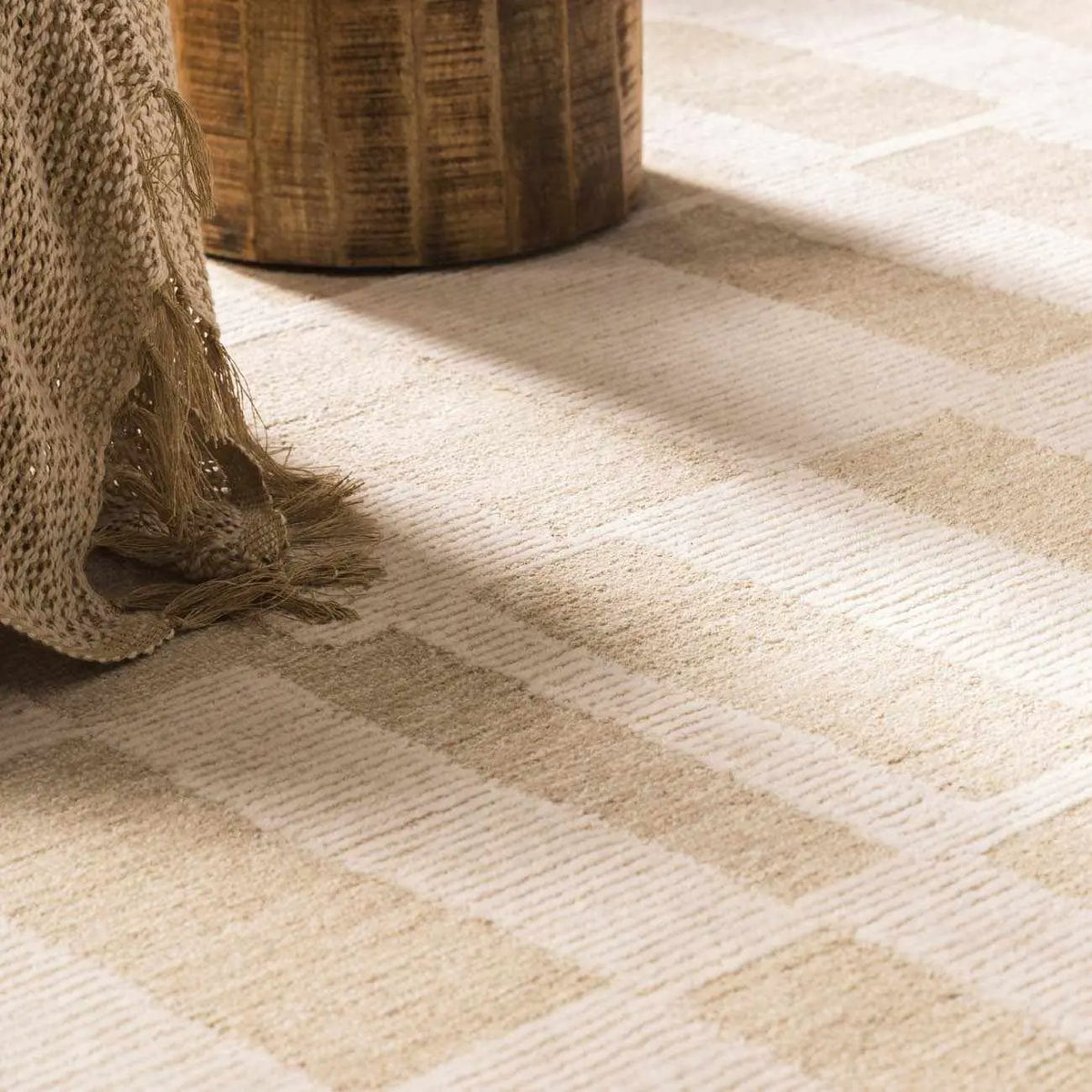 Teige Light Silver Area Rug, installed in a room 7