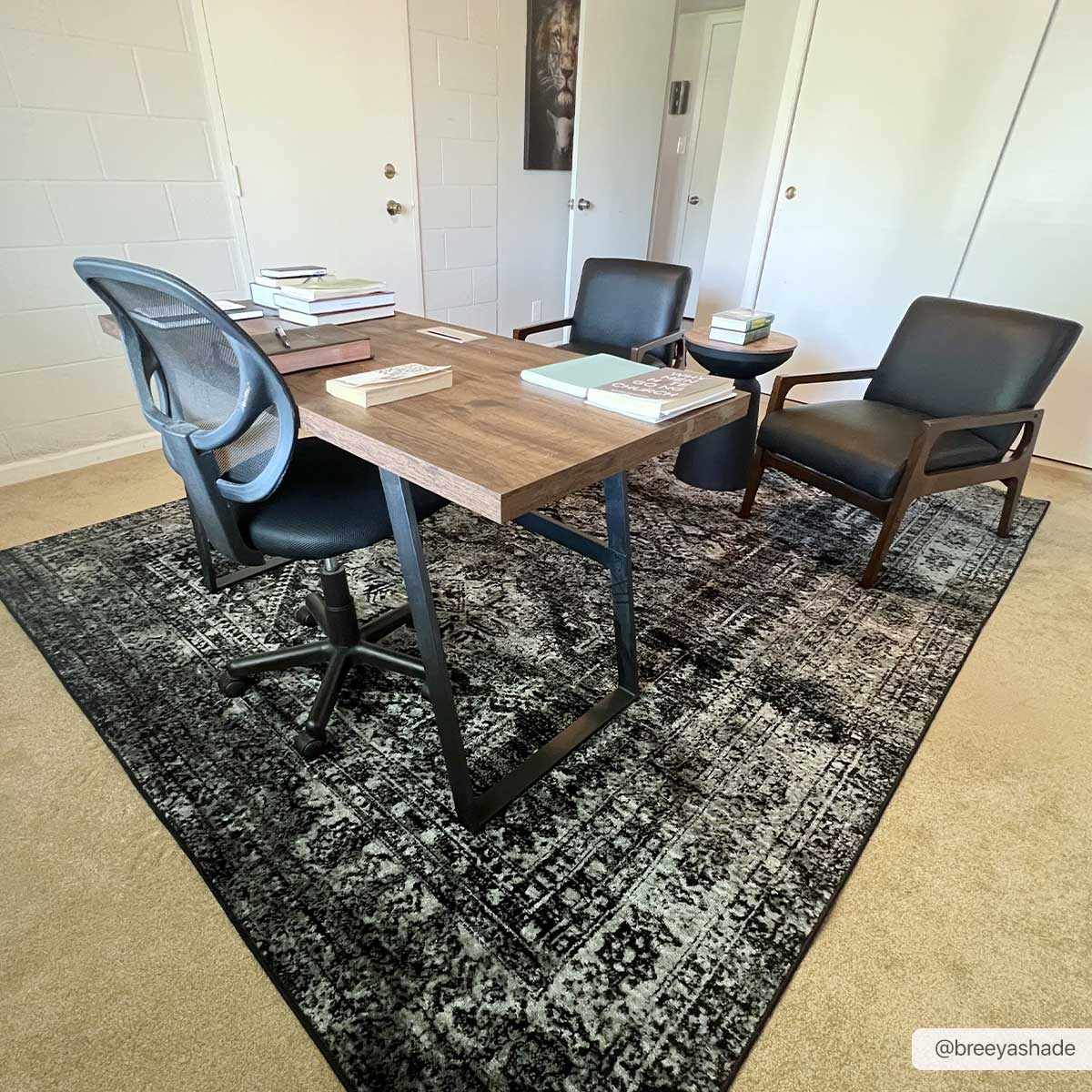 Toni Area Rug - Clearance, photo 2 of 10