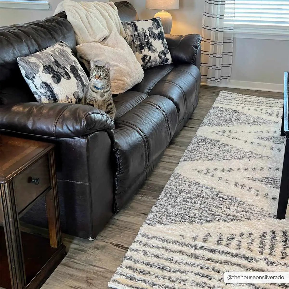Trunding Plush Area Rug by Boutique Rugs