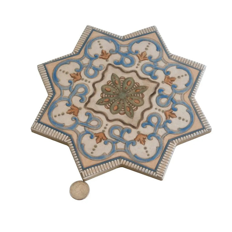 Terracotta Soft Gray-Blue 7x7 Matte Star Porcelain Tile (16 pack, 6.46 sq ft/case) by Apollo Tile