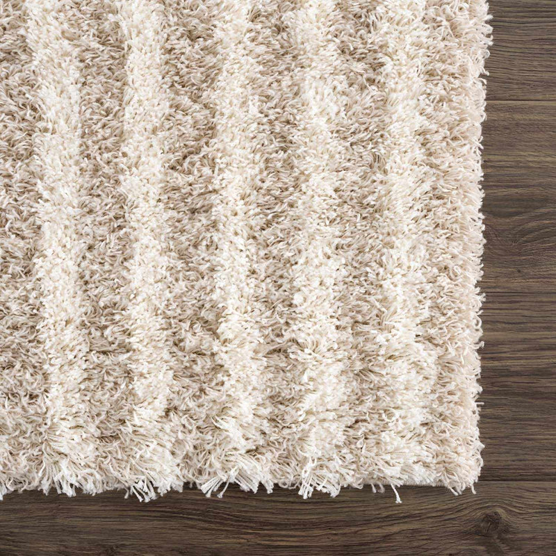 Emmly Shag Area Rug by Boutique Rugs